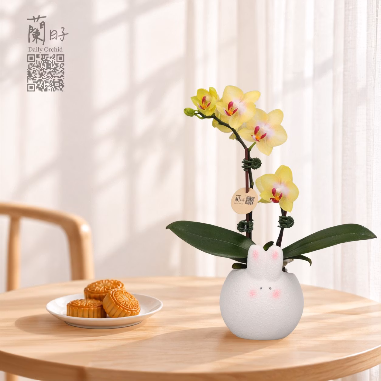 玉兔相伴｜中秋花禮