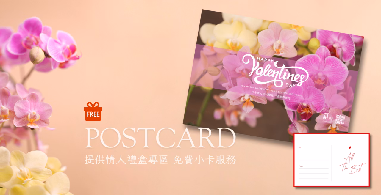 商品介紹