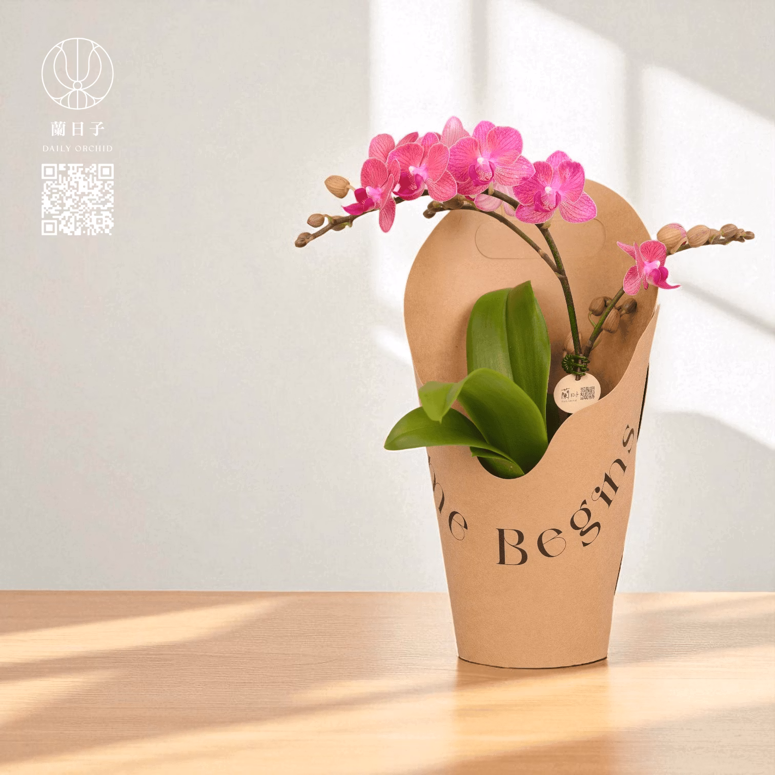 原色提盒花禮｜晨光蘭影