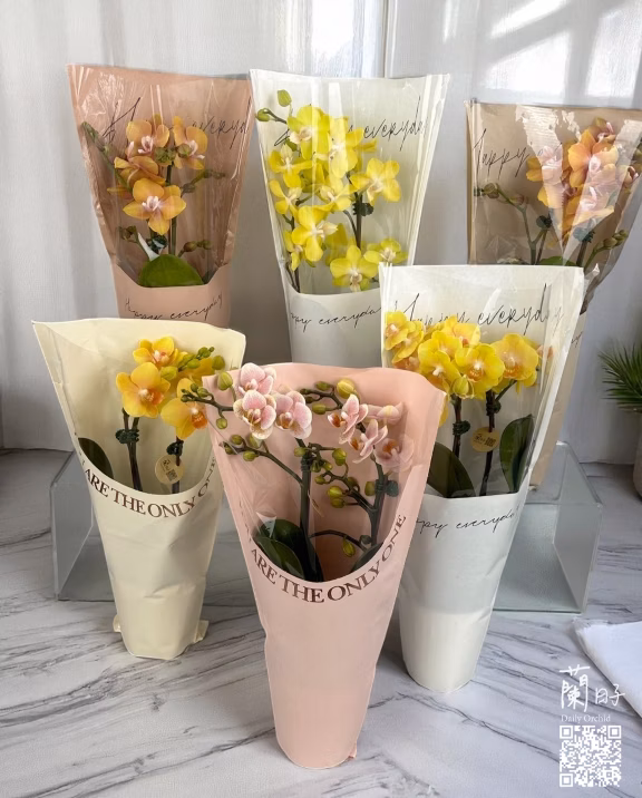 【畢業限定蝴蝶蘭花束組】綻向未來｜Bloom Forward
