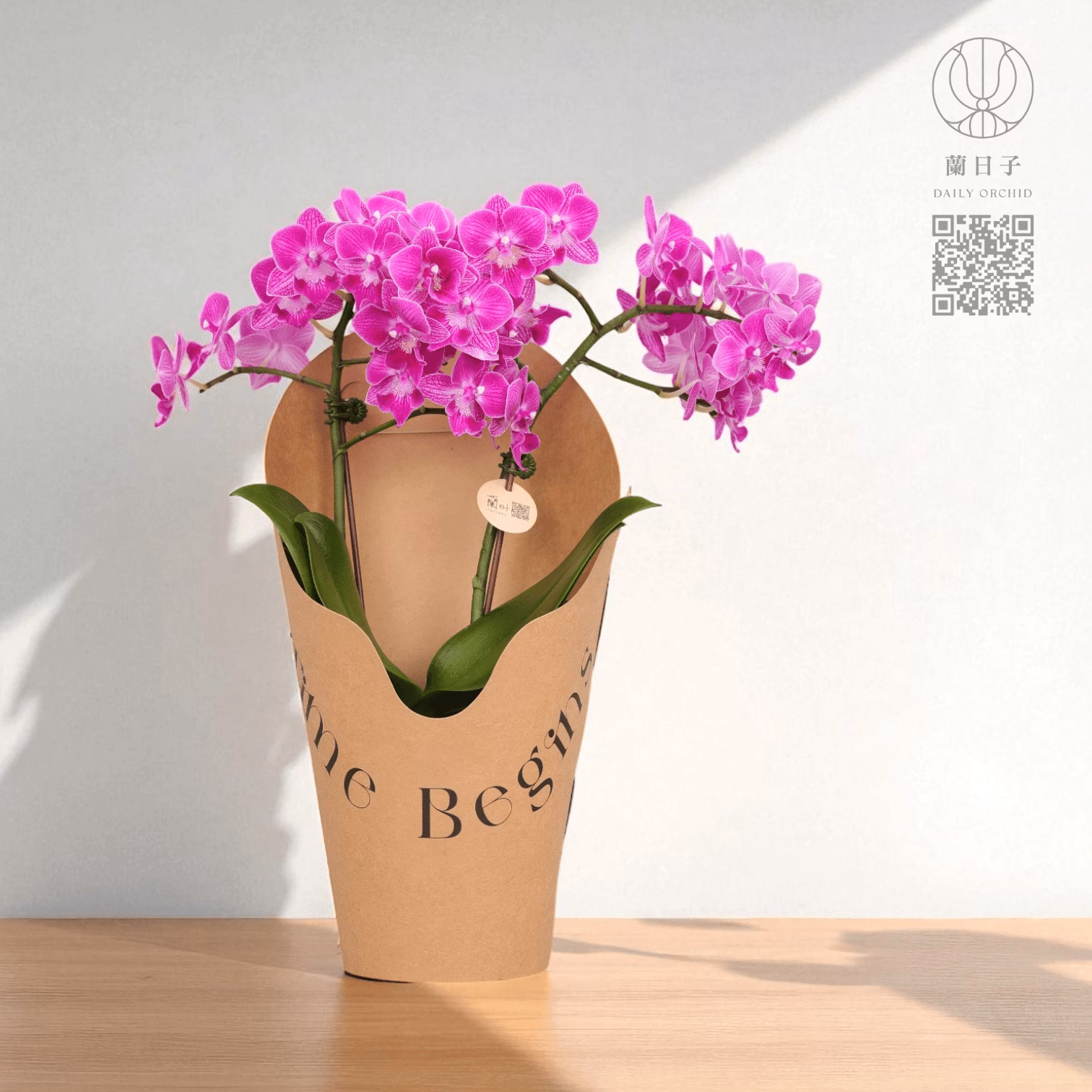 原色提盒花禮｜晨光蘭影