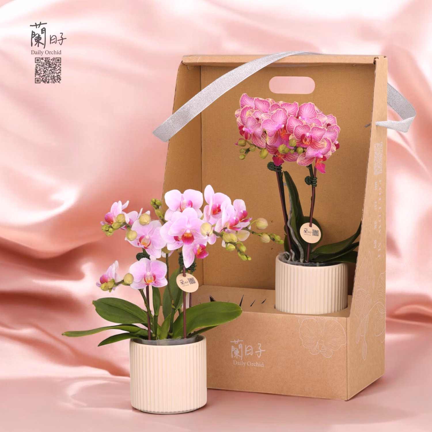 母親節 永恆蘭心雙入組 Timeless Orchid Heart