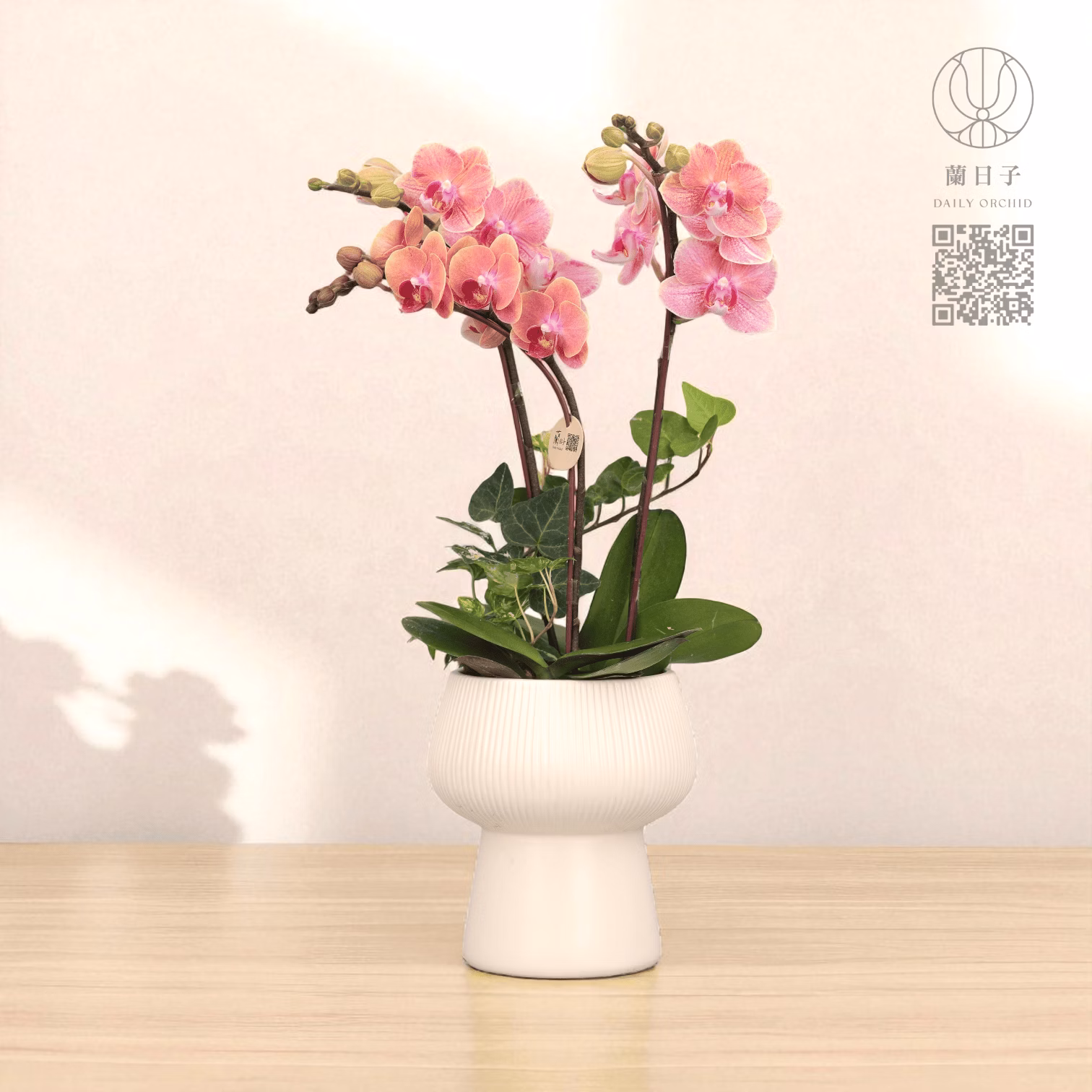 暮霞映光｜秋季組合花禮