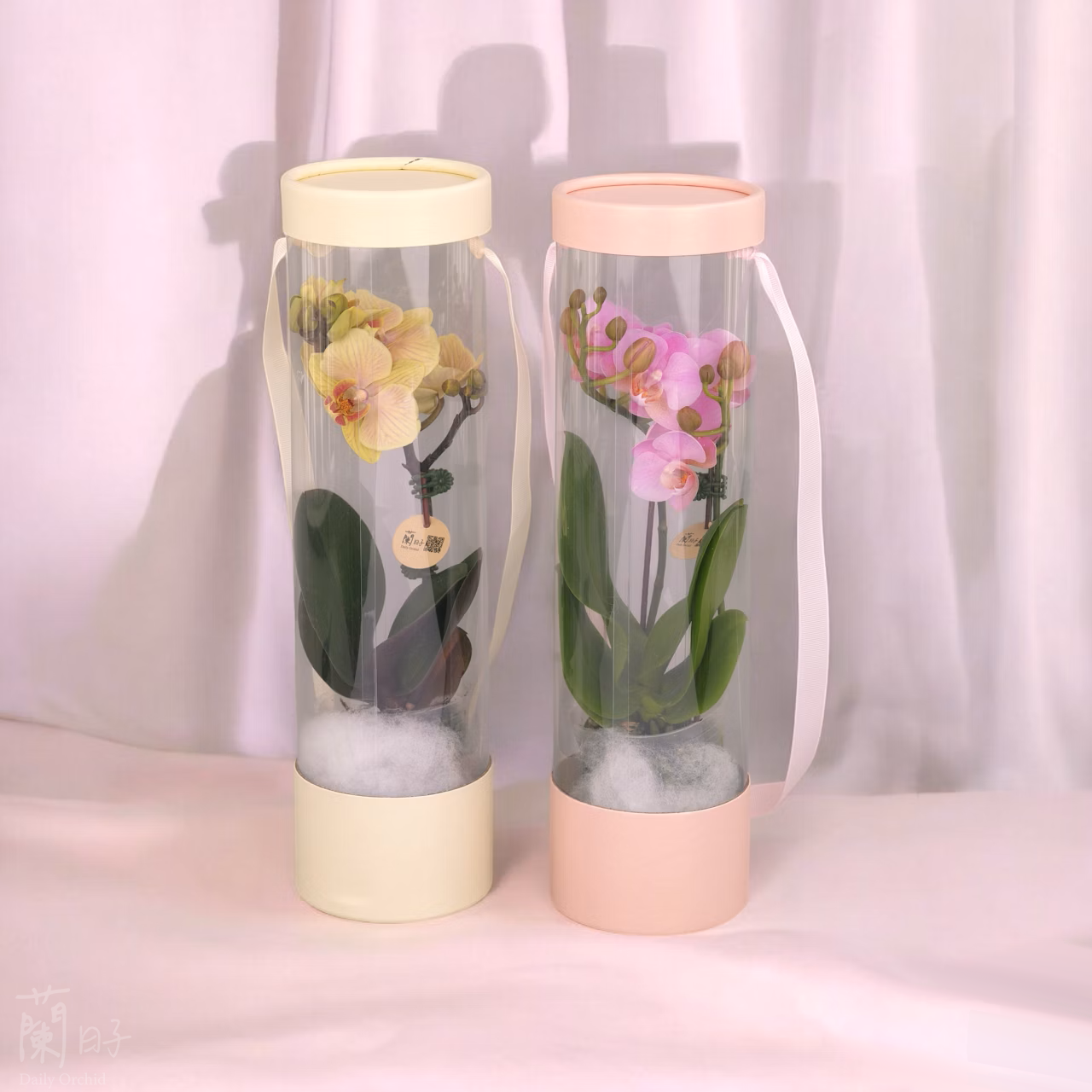情人節花禮