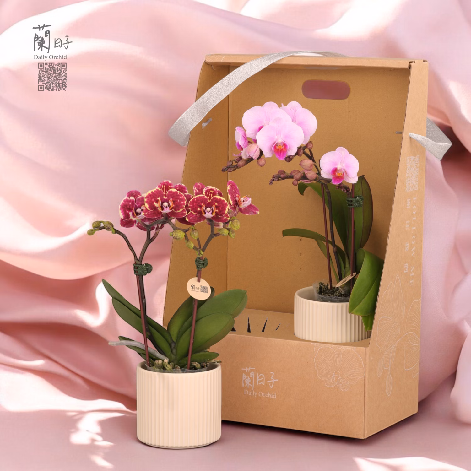 母親節  永恆蘭心雙入組 Timeless Orchid Heart