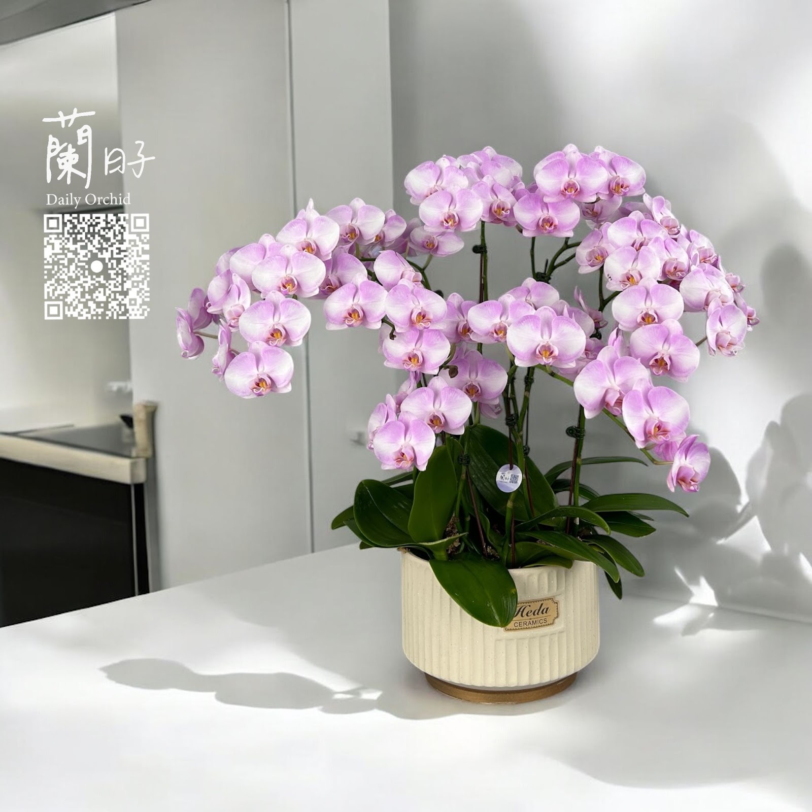春節伴手禮