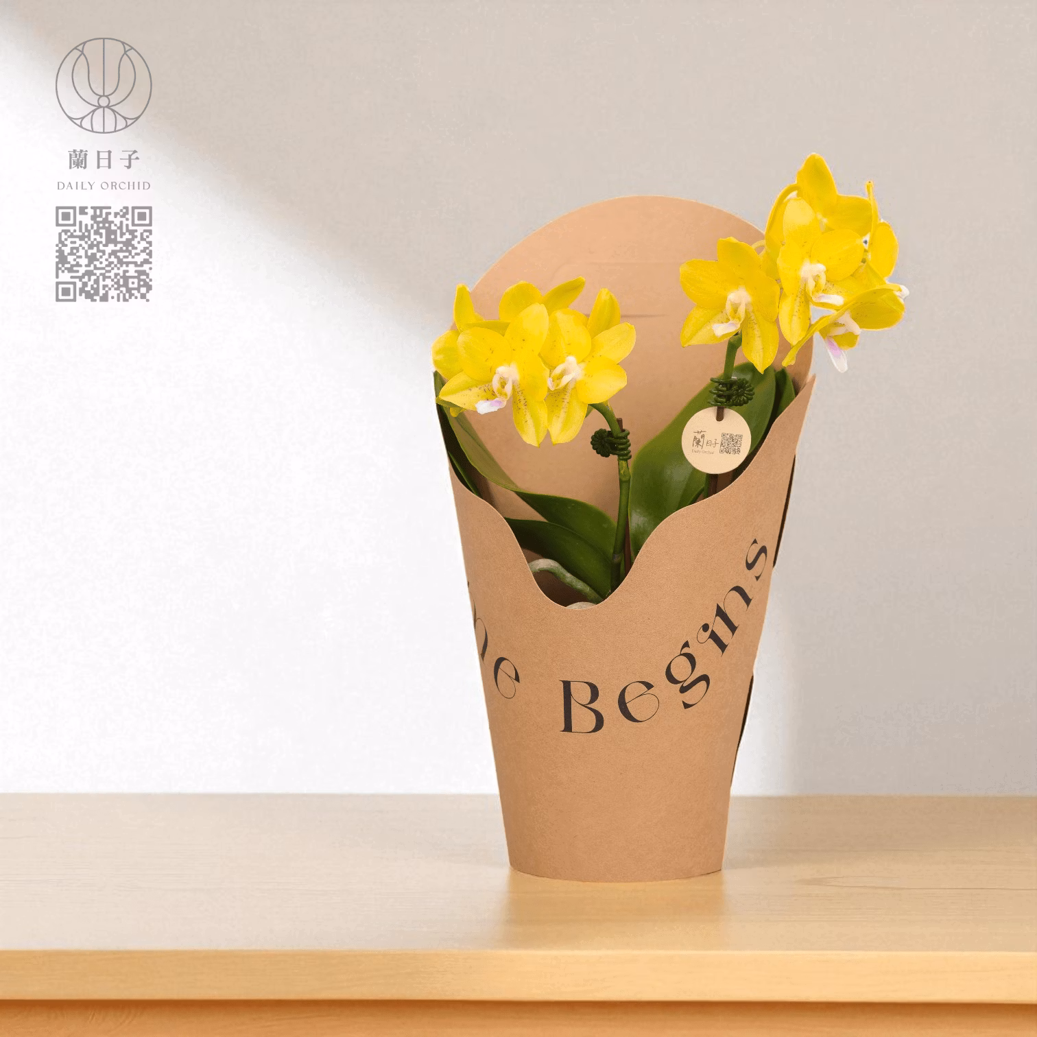 原色提盒花禮｜晨光蘭影