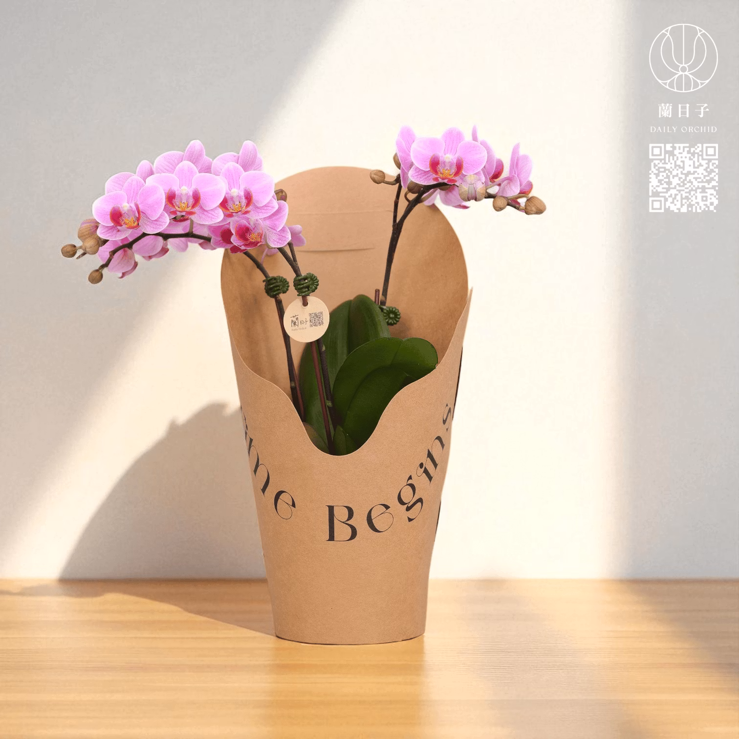 原色提盒花禮｜晨光蘭影