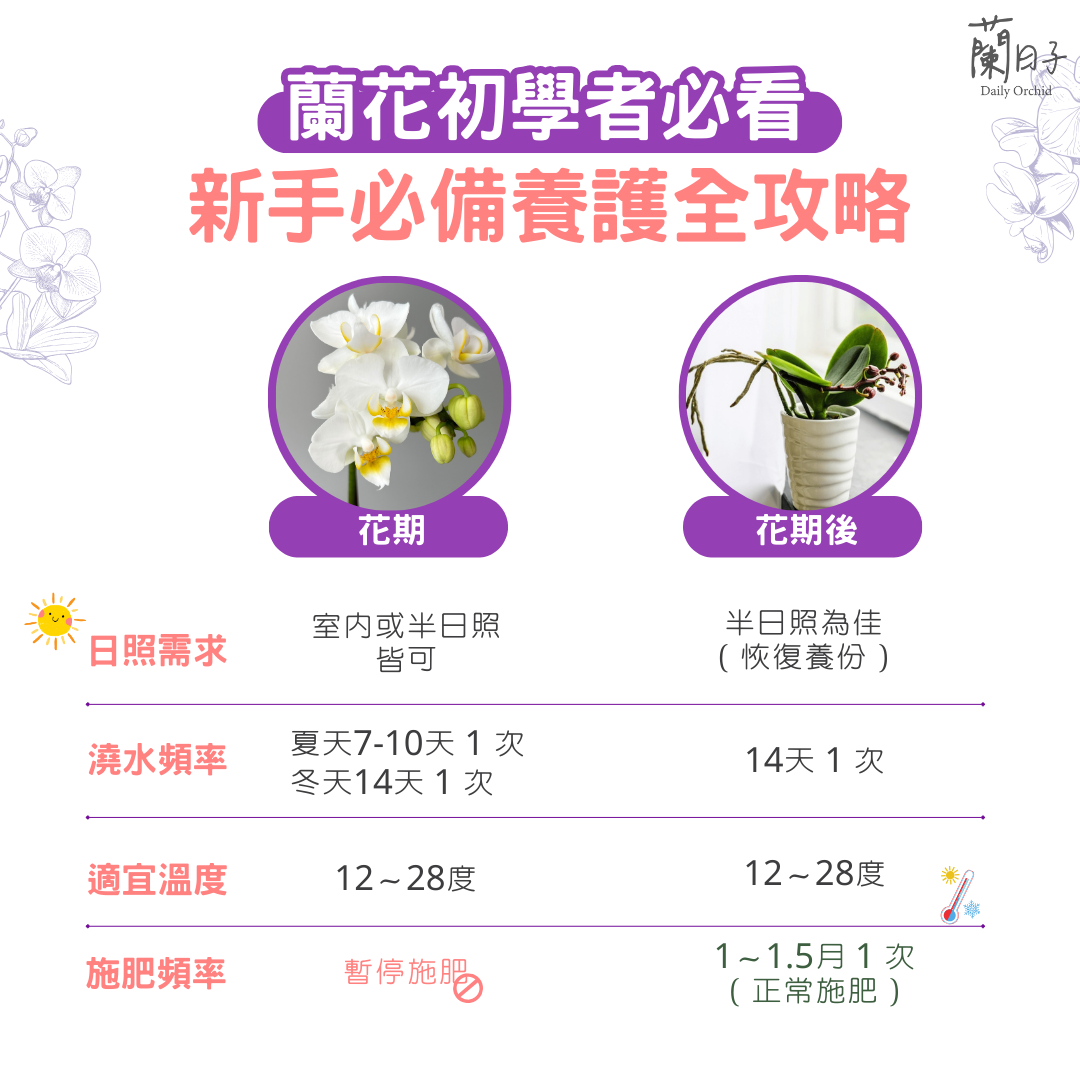 蘭花養護