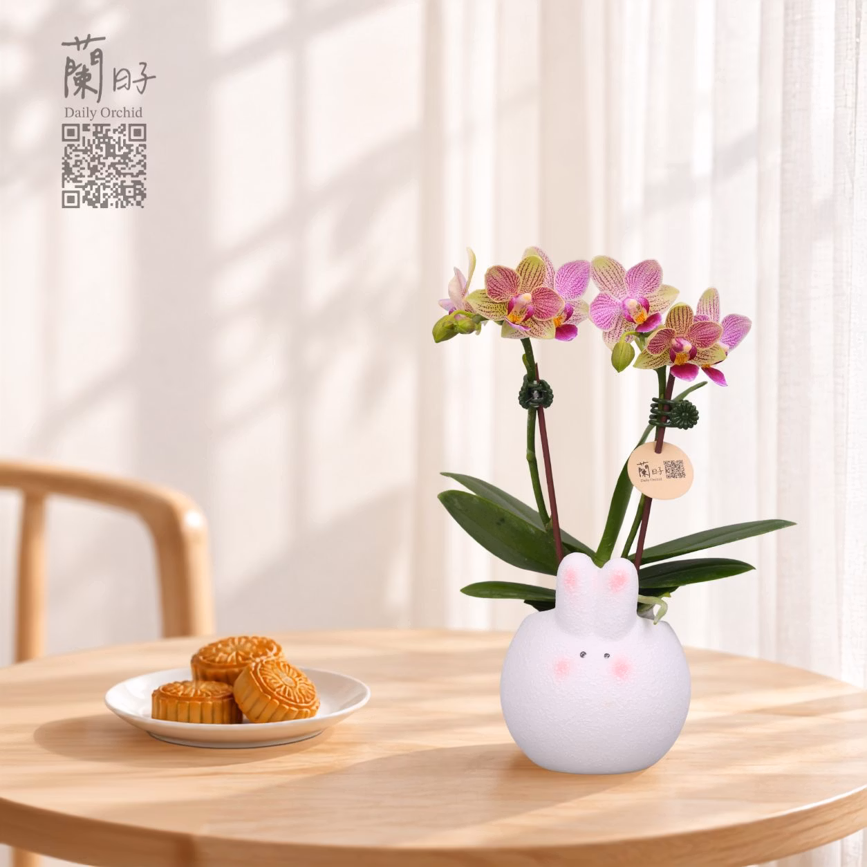 玉兔相伴｜中秋花禮