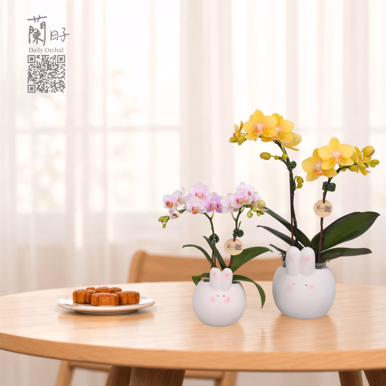 玉兔相伴｜中秋花禮
