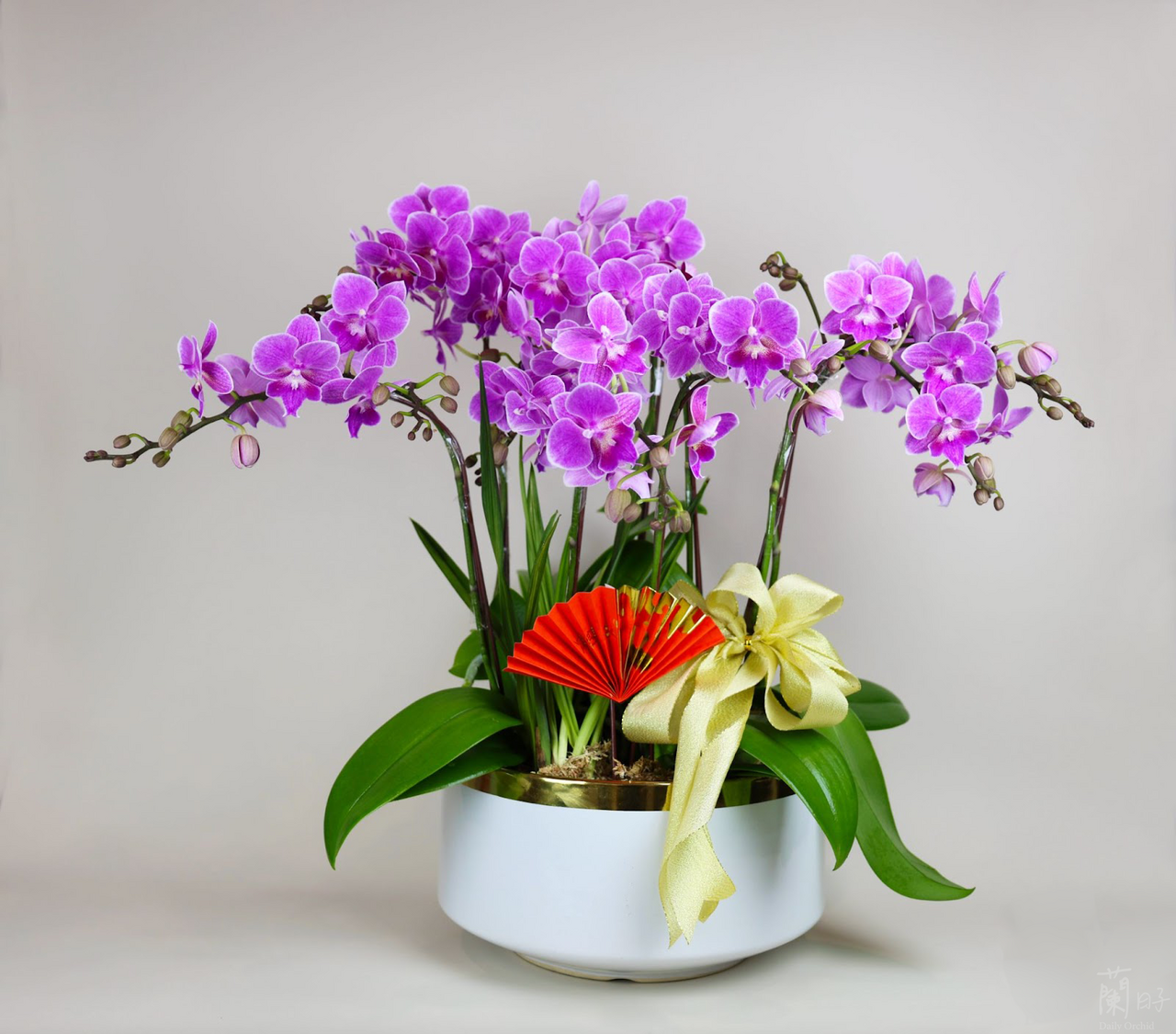 蘭花伴手禮