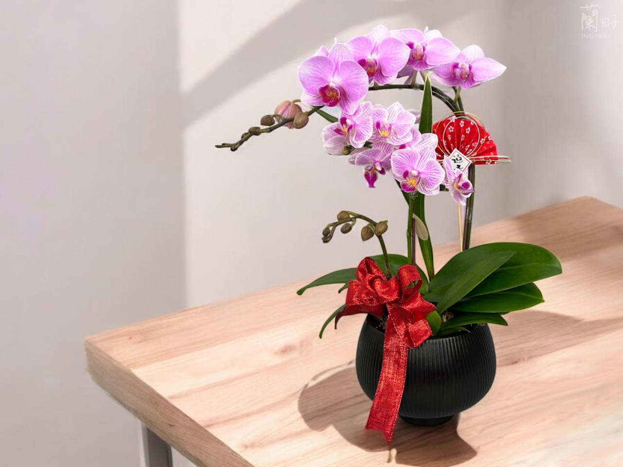 蘭花伴手禮