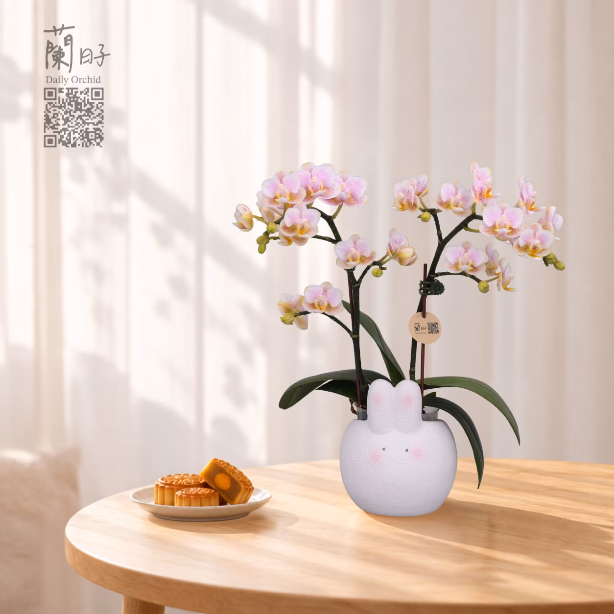 玉兔相伴｜中秋花禮