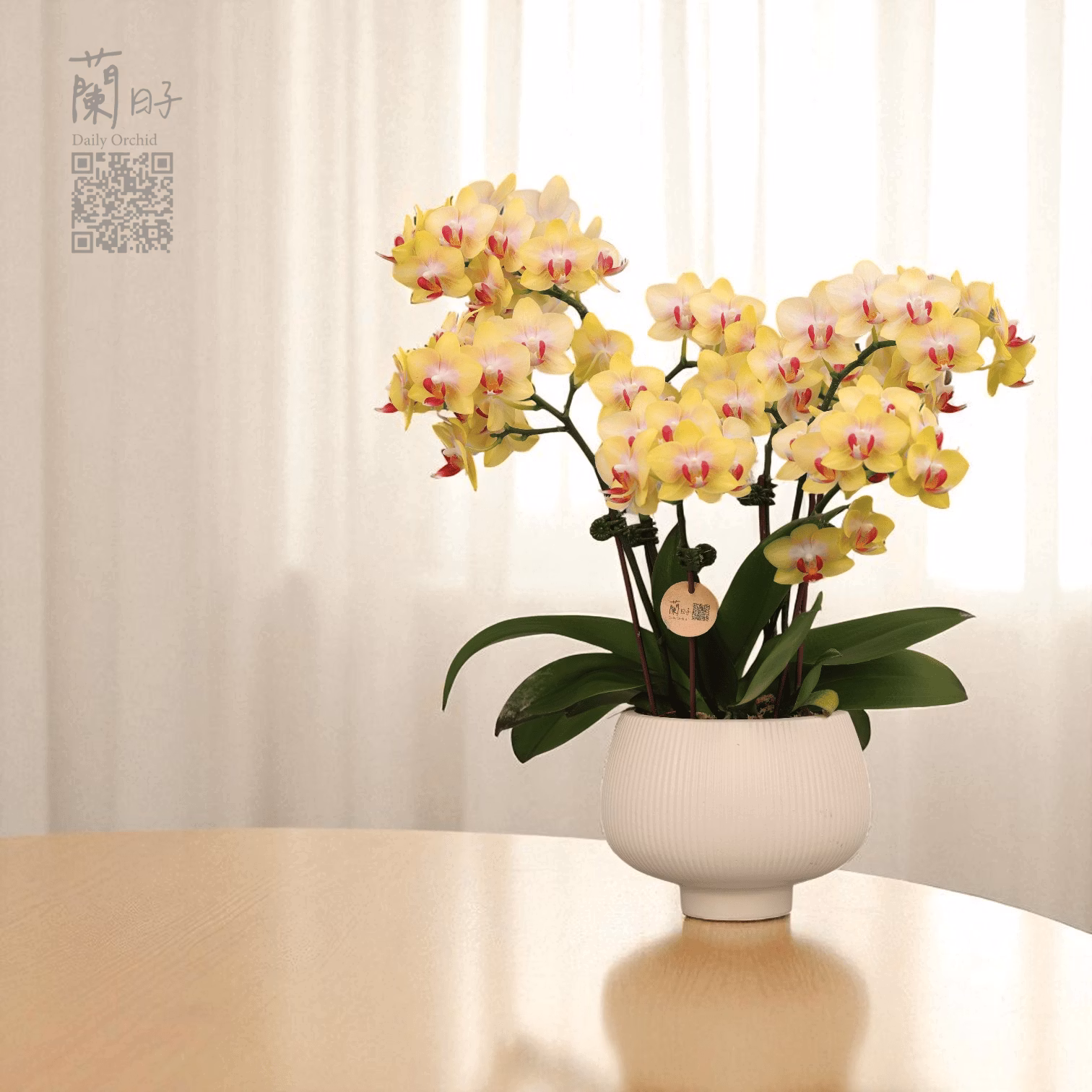 一蘭一時光系列｜夏季組合花禮