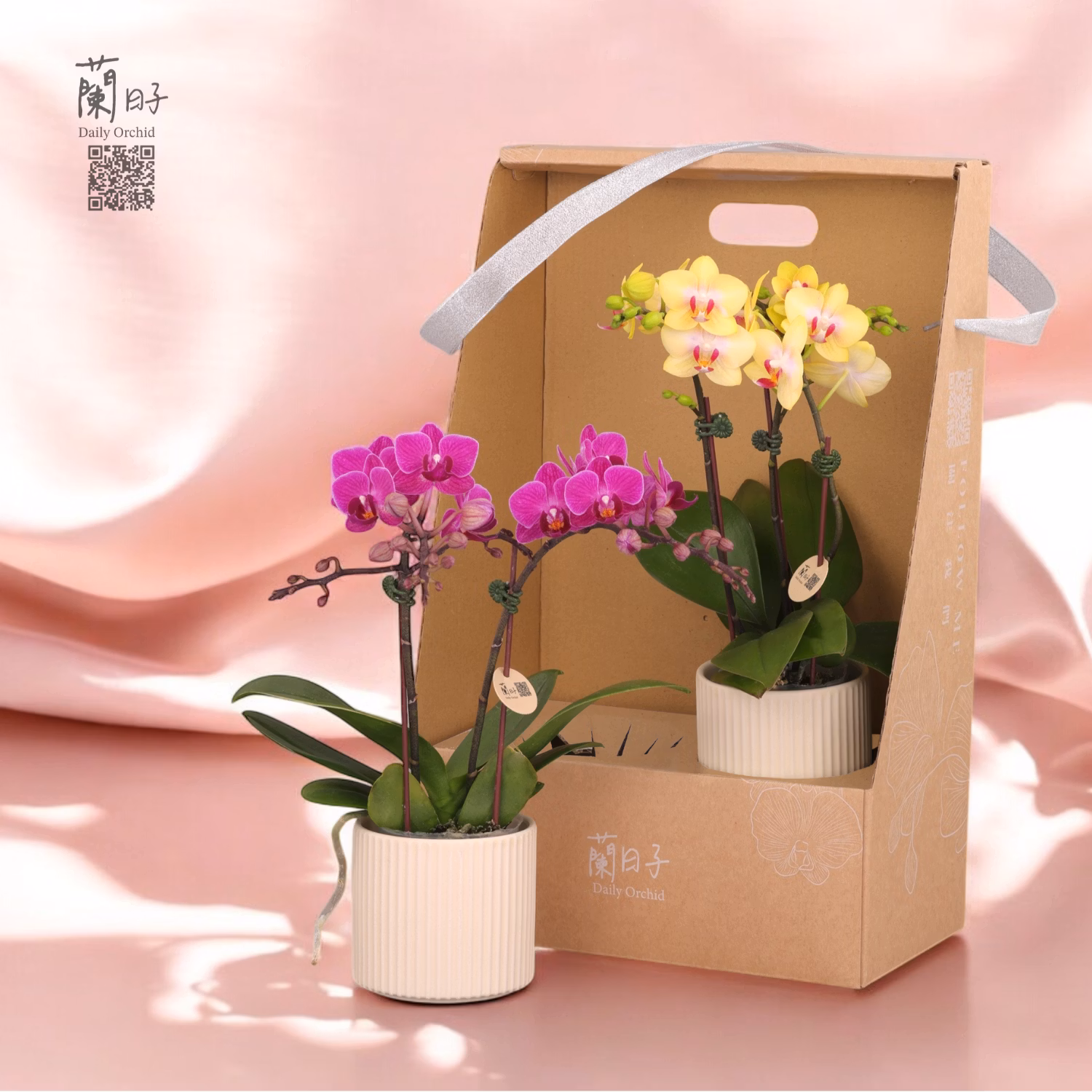 母親節  永恆蘭心雙入組 Timeless Orchid Heart