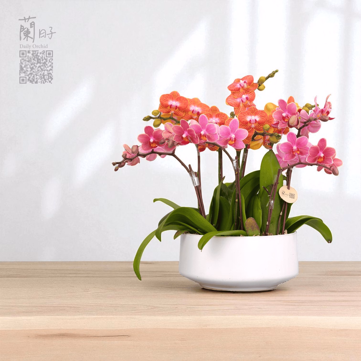 一蘭一時光系列｜夏季組合花禮