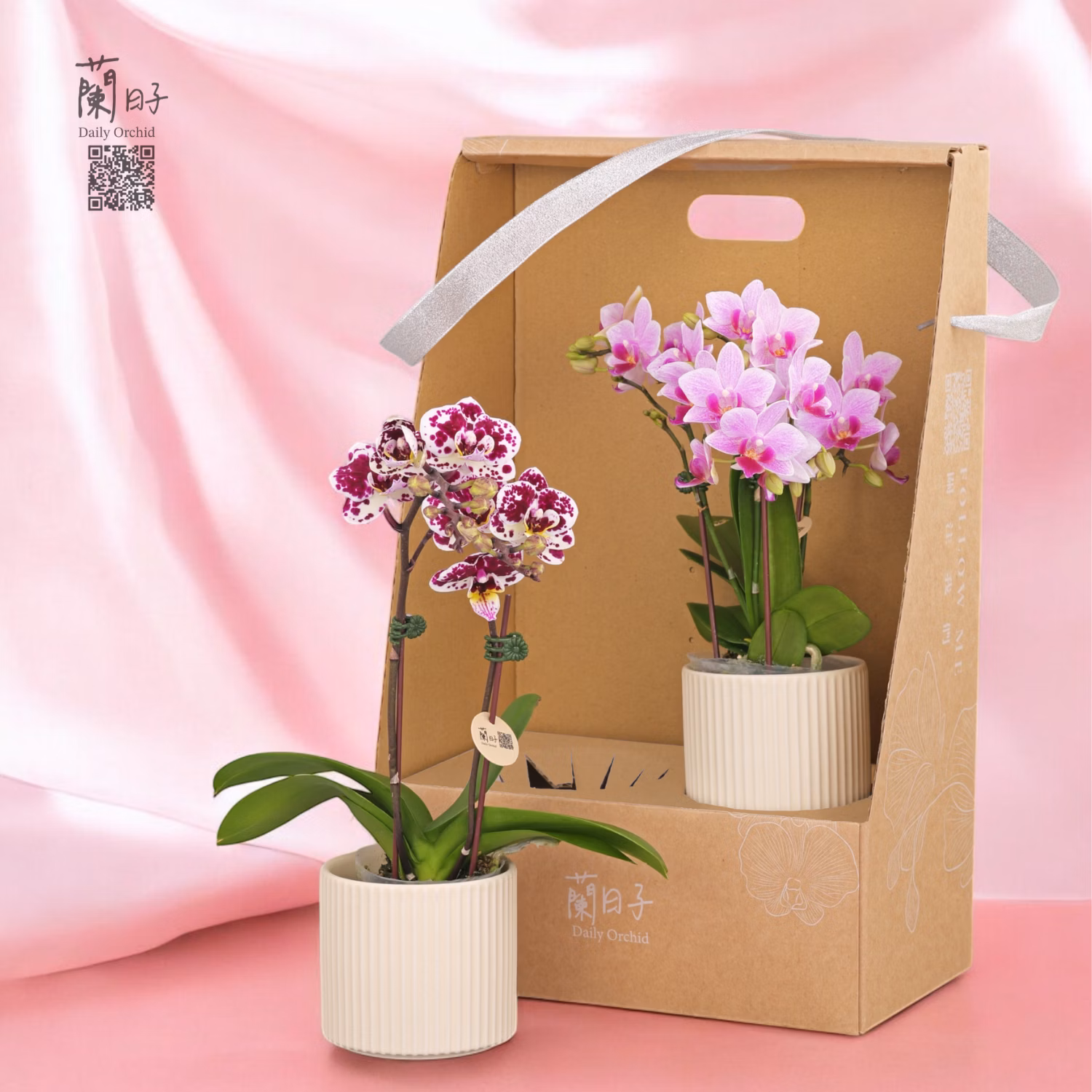母親節  永恆蘭心雙入組 Timeless Orchid Heart