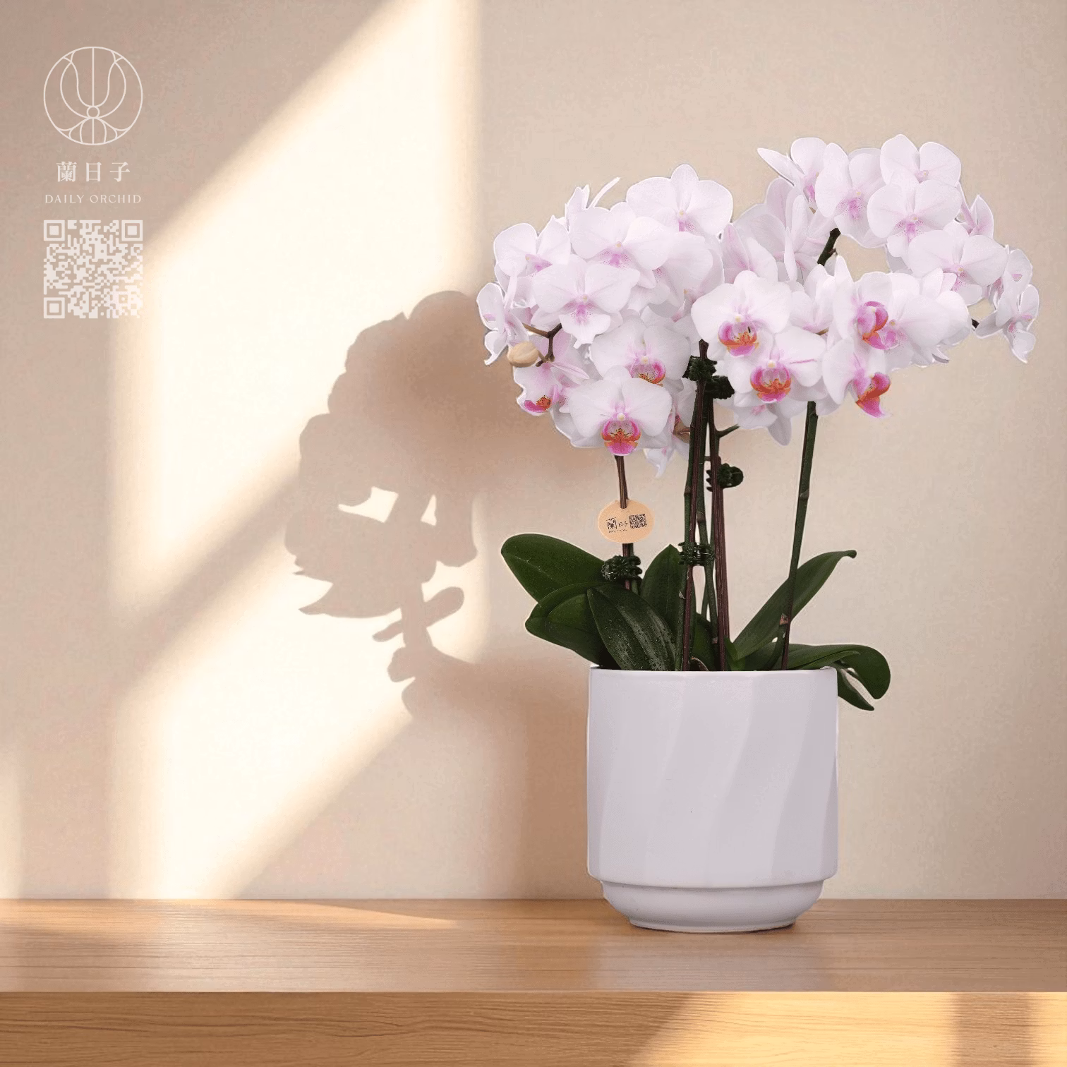 櫻影輕舞|限定組合花禮
