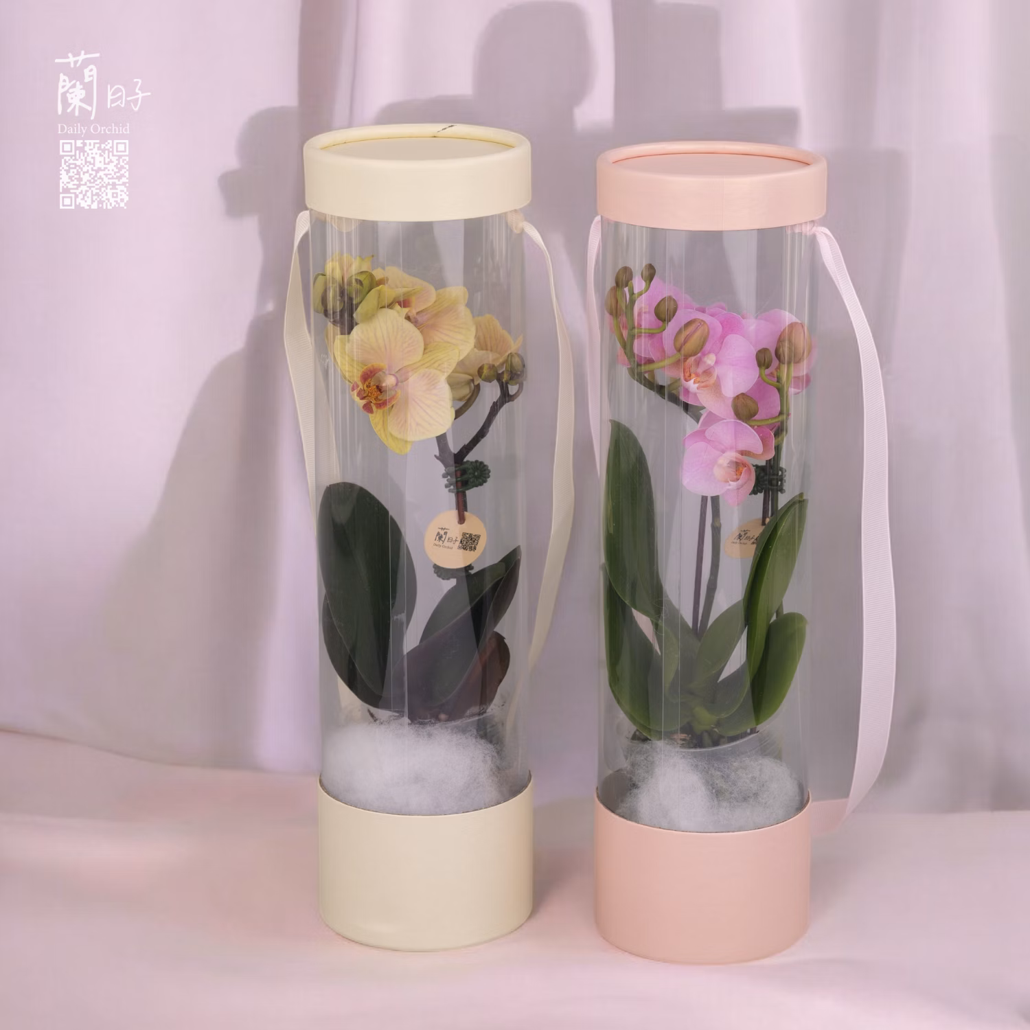 限定花禮｜圓柱禮盒