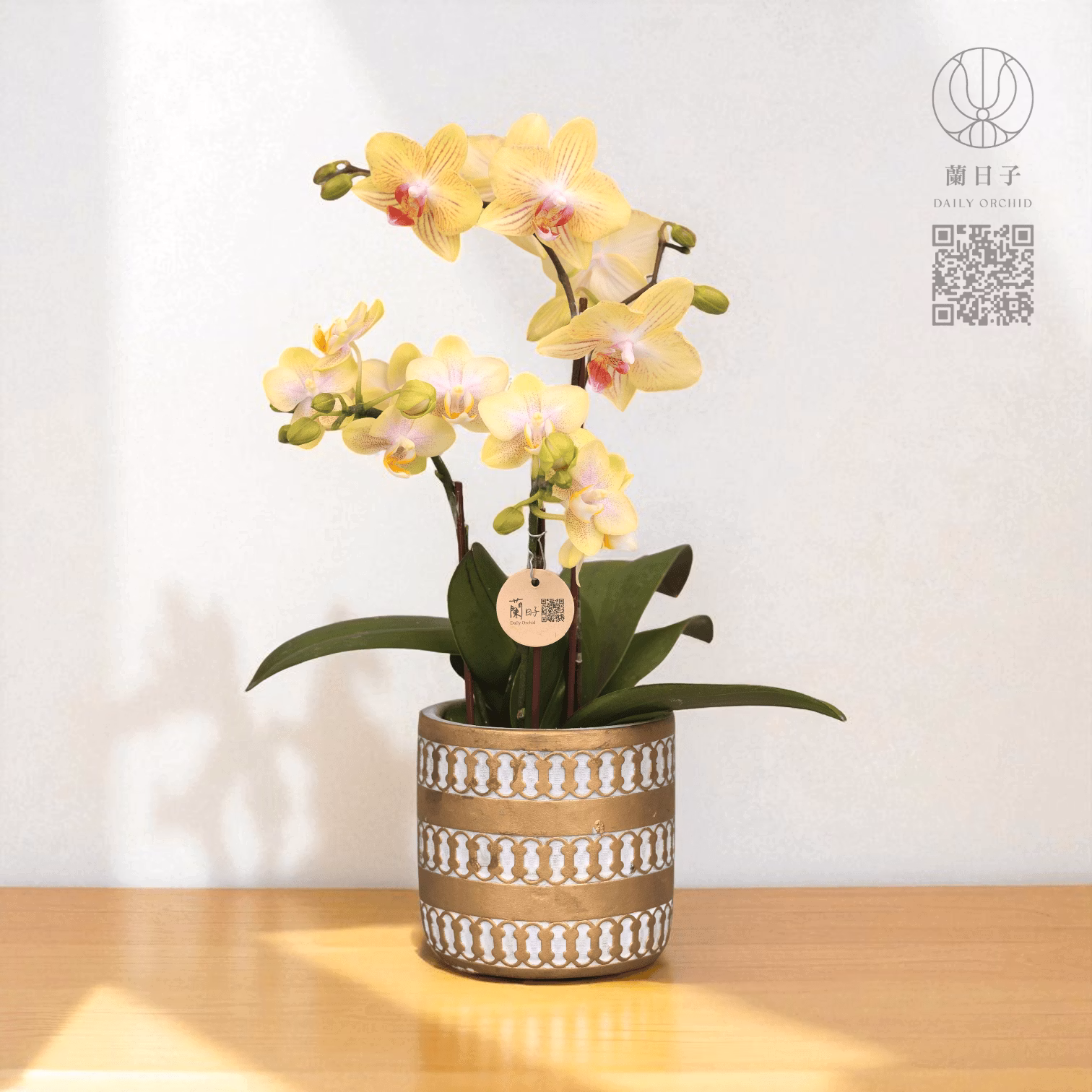 金陽初照｜秋季組合花禮