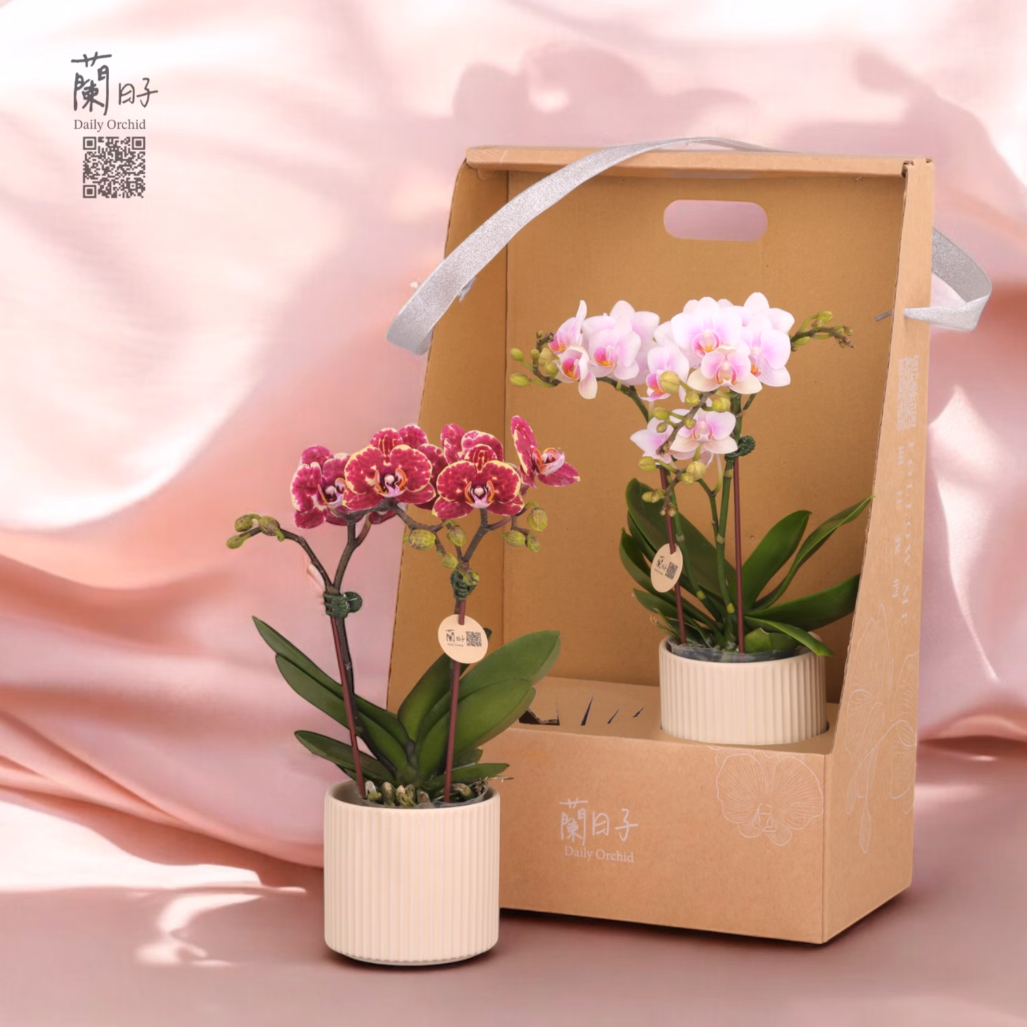 母親節  永恆蘭心雙入組 Timeless Orchid Heart