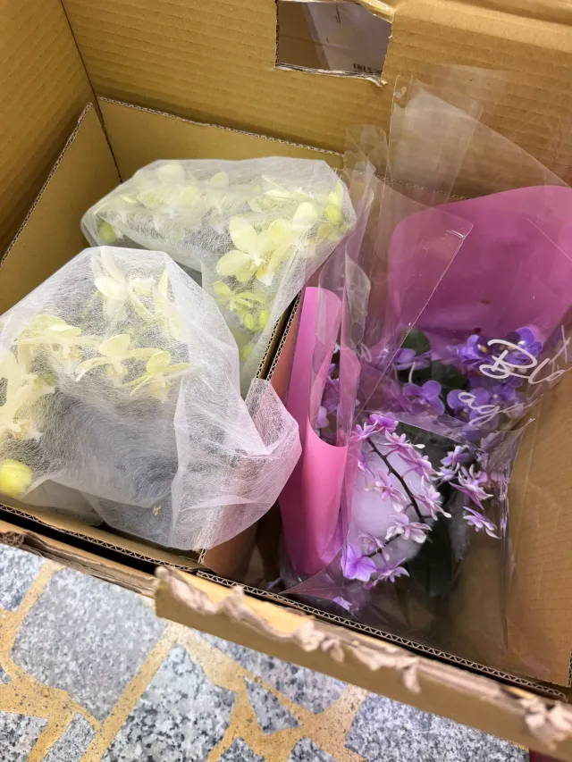 打開紙箱，回報花已收到，顧客分享照片 1