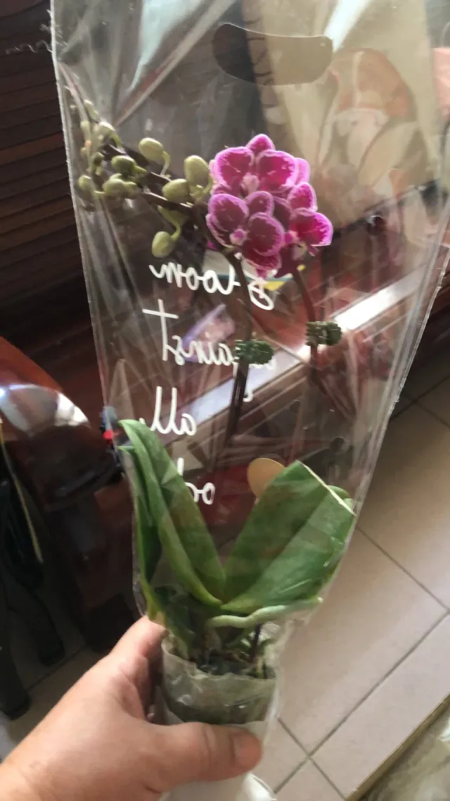 後續送達,記錄這次收到的花況,顧客分享照片 1