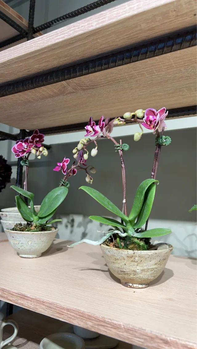 用自己的花器,搭出喜歡的模樣,顧客分享照片 2