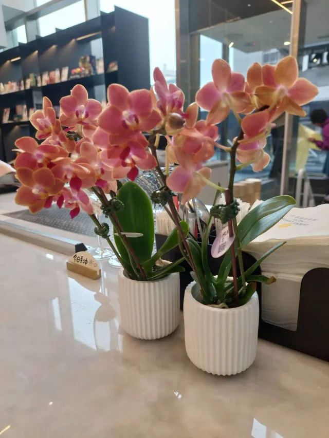 讓飯店的一隅,也有花相伴,顧客分享照片 5