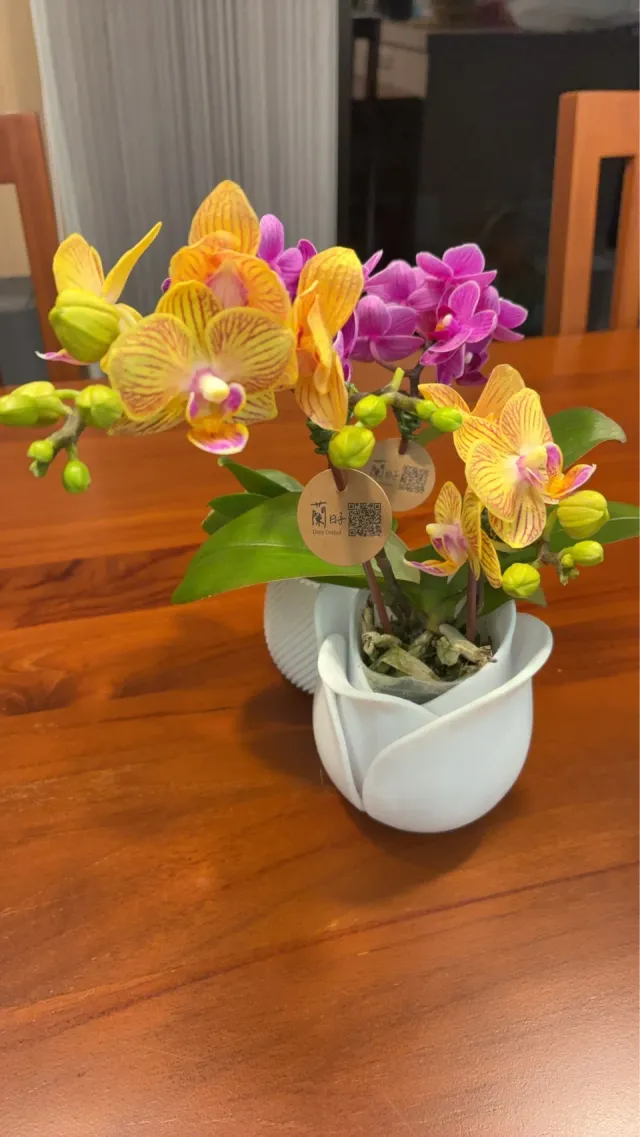 把繽紛花色帶進餐桌日常,顧客分享照片 2