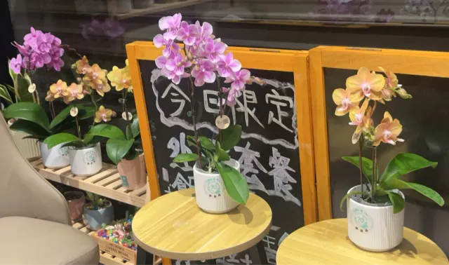 新到的蘭花,成了咖啡廳的風景,顧客分享照片 6