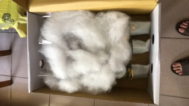 後續送達,記錄這次收到的花況,顧客分享照片 3