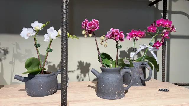 用自己的花器，搭出喜歡的模樣，顧客分享照片 1