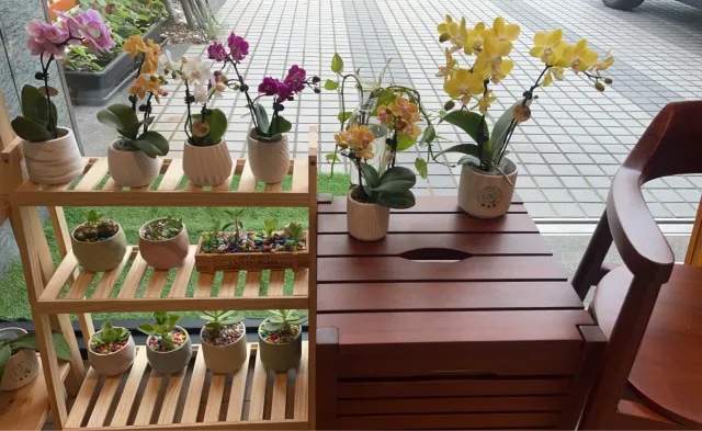 把展示架布置成有花的小角落,顧客分享照片 6