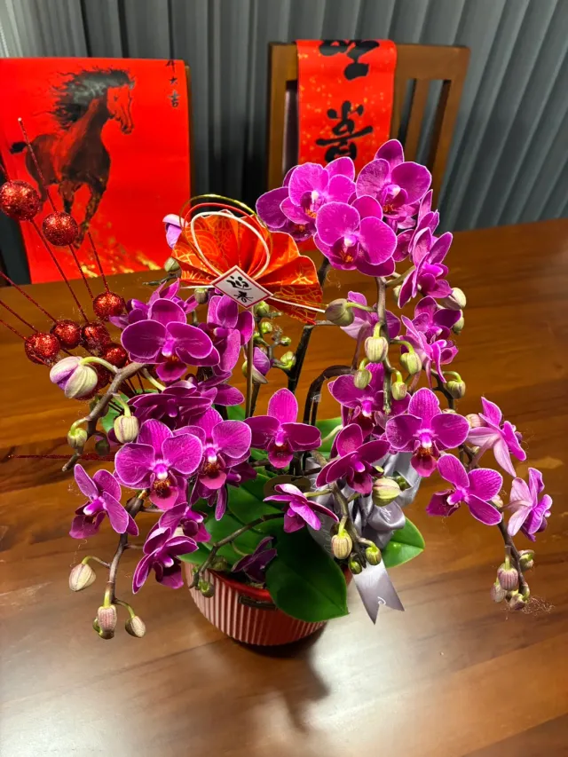 收到花,把新年的色彩擺上桌,顧客分享照片 2