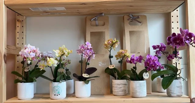 把展示架布置成有花的小角落,顧客分享照片 4