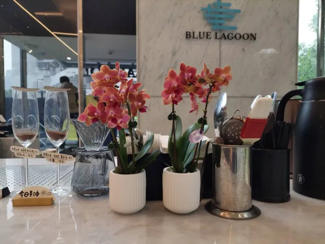 讓飯店的一隅,也有花相伴,顧客分享照片 8