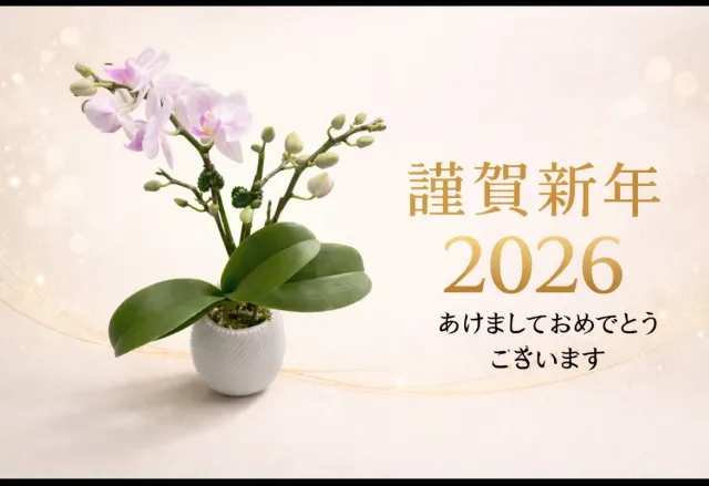 讓蘭花成為新年的祝福,顧客分享照片 2